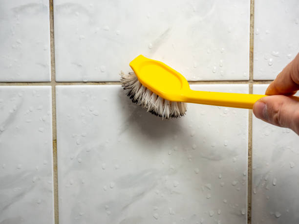 Best Office Mold Removal Services  in Oakes, ND