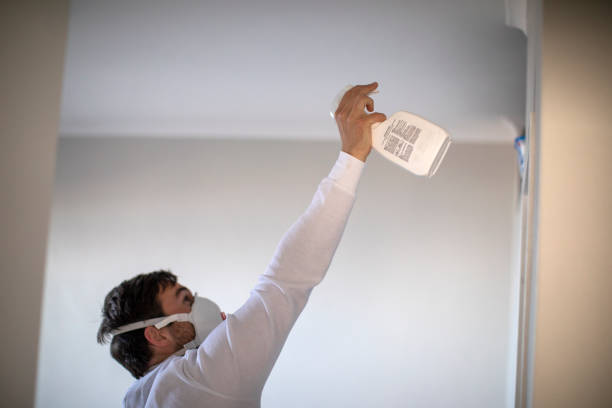 Best Residential Mold Removal  in Oakes, ND