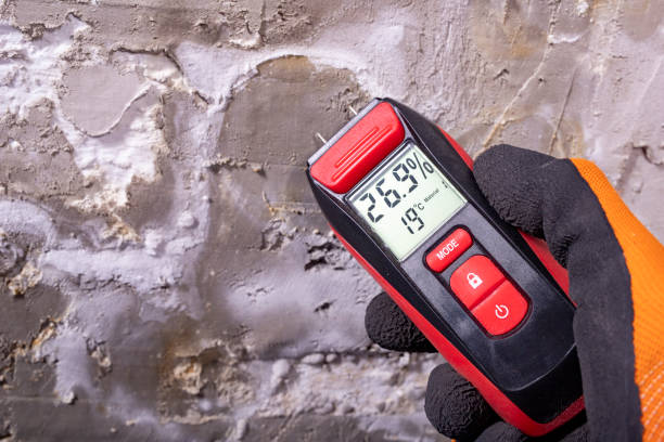 Best Mold Removal and Inspection  in Oakes, ND